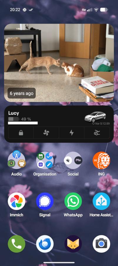 My GrapheneOS home screen